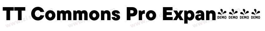 TT Commons Pro Expan字体转换 TT Commons Pro Expan字体转换
